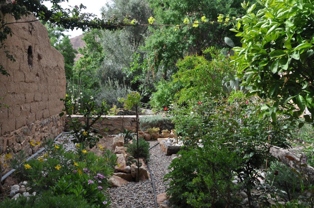 A Secret Garden Hotell Tinghir Eksteriør bilde